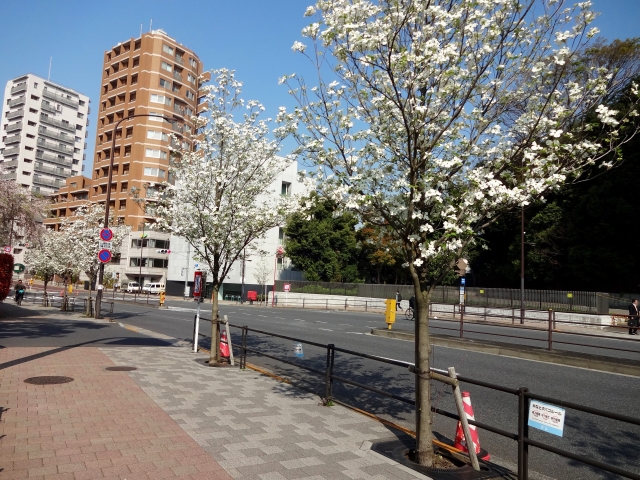 町域と種類