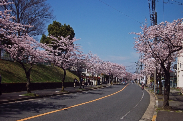 都道府県と種類